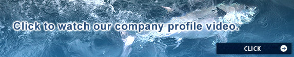 Company Profile Video